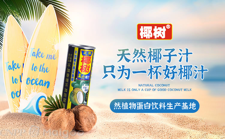 椰树COCONUTPALM