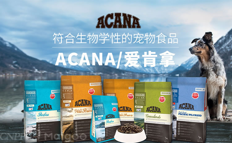 ACANA爱肯拿