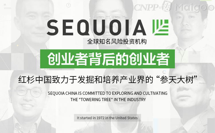 SEQUOIA红杉资本